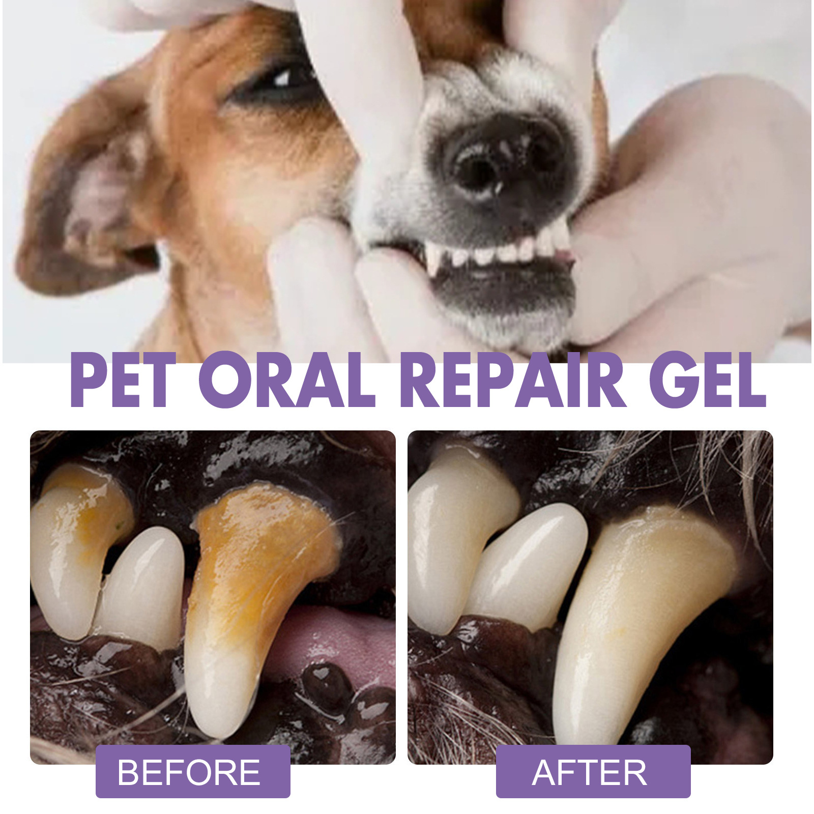 Pet Oral Repair Gel Puppy Tart - огляд і ціна Whitening Mouthwash