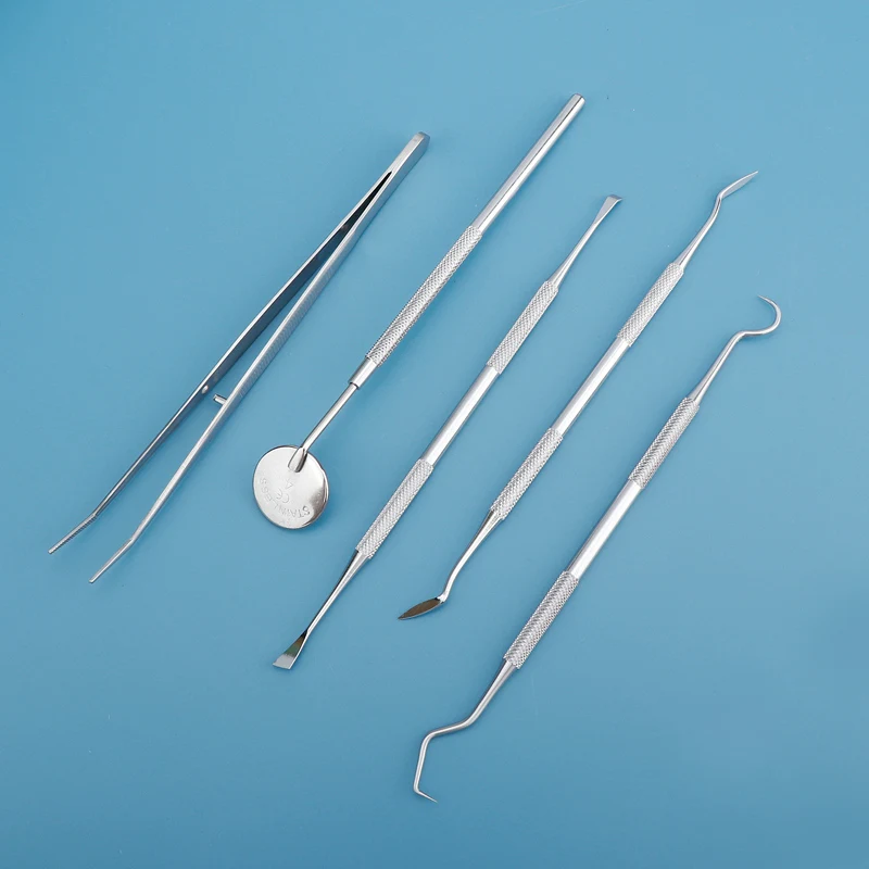 Dental Tool Interdental Toothp - огляд і ціна Dental Floss Picks